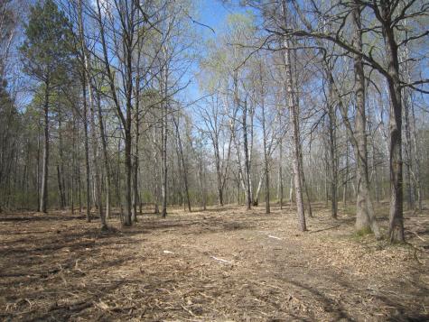 Lot 6 Among Forest & Lakes Drive Cass Lake MN 56633