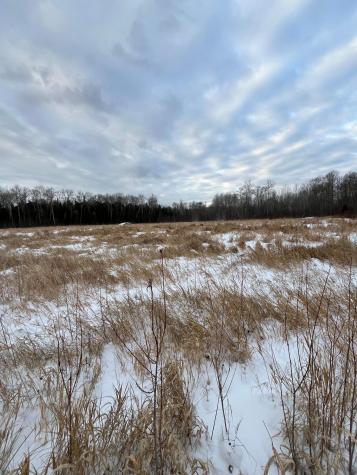 Tbd Parcel 2 E Pine Drive Angle Inlet MN 56711