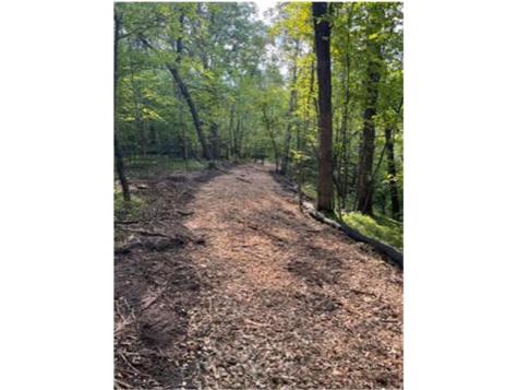 Lot 3 Tiger Street NW Zimmerman MN 55398