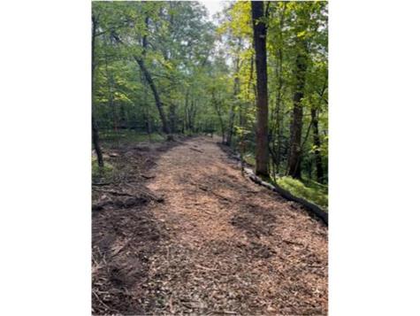 Lot 3 Tiger Street NW Zimmerman MN 55398