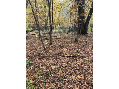 Lot 3 Tiger Street NW Zimmerman MN 55398