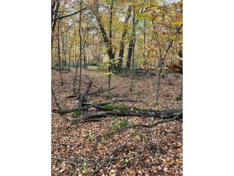 Lot 3 Tiger Street NW Zimmerman MN 55398