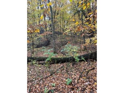 Lot 3 Tiger Street NW Zimmerman MN 55398