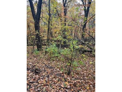 Lot 3 Tiger Street NW Zimmerman MN 55398