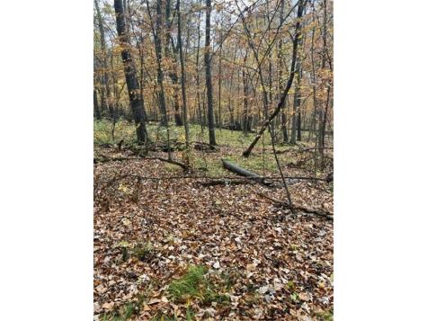 Lot 3 Tiger Street NW Zimmerman MN 55398