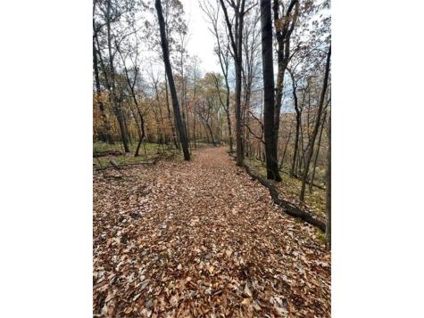 Lot 3 Tiger Street NW Zimmerman MN 55398