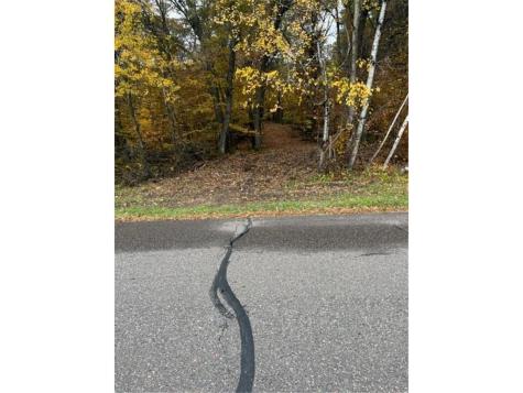 Lot 3 Tiger Street NW Zimmerman MN 55398