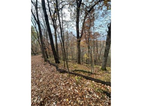 Lot 3 Tiger Street NW Zimmerman MN 55398