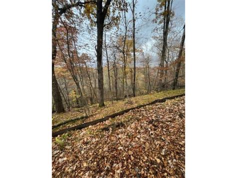 Lot 3 Tiger Street NW Zimmerman MN 55398