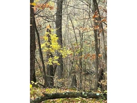 Lot 3 Tiger Street NW Zimmerman MN 55398