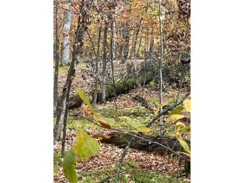 Lot 3 Tiger Street NW Zimmerman MN 55398