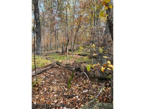 Lot 3 Tiger Street NW Zimmerman MN 55398