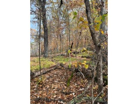 Lot 3 Tiger Street NW Zimmerman MN 55398