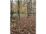 Lot 3 Tiger Street NW Zimmerman MN 55398