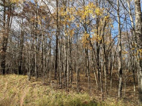 L10 B17 Green Scene Drive Breezy Point MN 56472