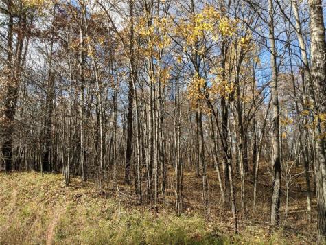 L10 B17 Green Scene Drive Breezy Point MN 56472