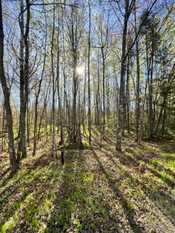 Tbd Baich Drive Coleraine MN 55722