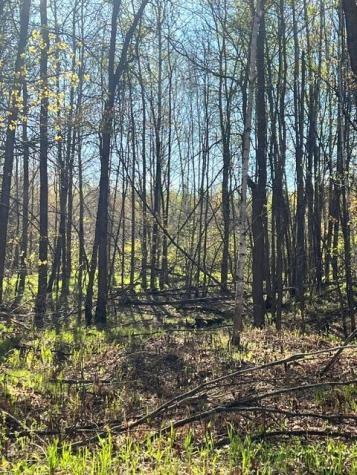Tbd Baich Drive Coleraine MN 55722