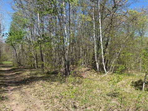 5XXX Banyan Drive Garrison MN 56450