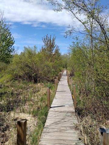 2263 280th Avenue Brook Park MN 55007