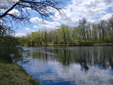 2263 280th Avenue Brook Park MN 55007