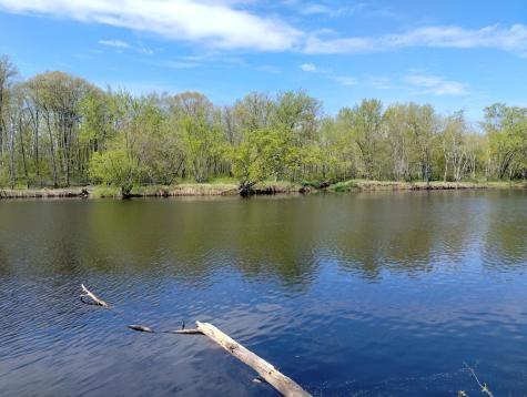2263 280th Avenue Brook Park MN 55007