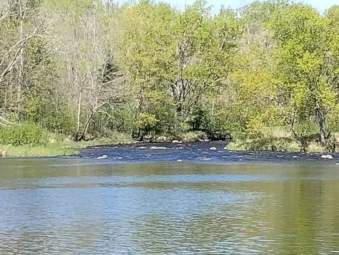 2263 280th Avenue Brook Park MN 55007