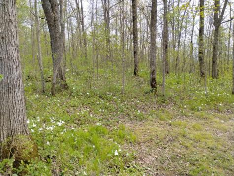 2263 280th Avenue Brook Park MN 55007