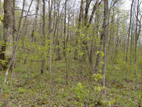 2263 280th Avenue Brook Park MN 55007