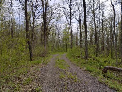 2263 280th Avenue Brook Park MN 55007
