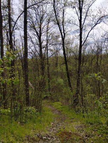 2263 280th Avenue Brook Park MN 55007