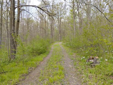 2263 280th Avenue Brook Park MN 55007