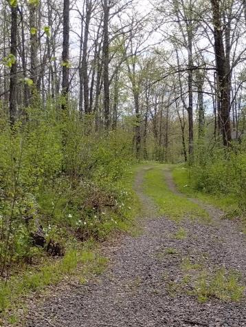 2263 280th Avenue Brook Park MN 55007