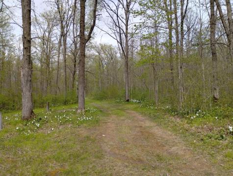 2263 280th Avenue Brook Park MN 55007