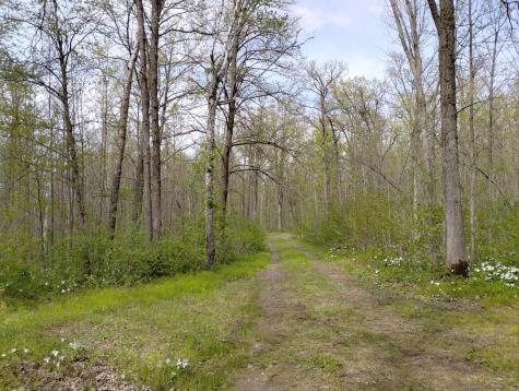 2263 280th Avenue Brook Park MN 55007