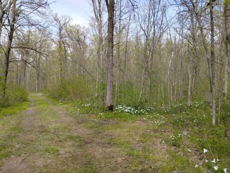 2263 280th Avenue Brook Park MN 55007