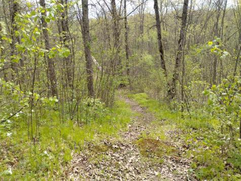 2263 280th Avenue Brook Park MN 55007