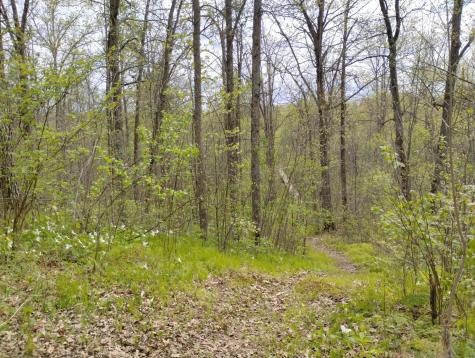 2263 280th Avenue Brook Park MN 55007