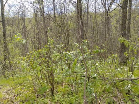 2263 280th Avenue Brook Park MN 55007