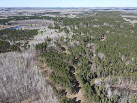 Tbd (164.21AC) Maple Grove Road Cloquet MN 55720