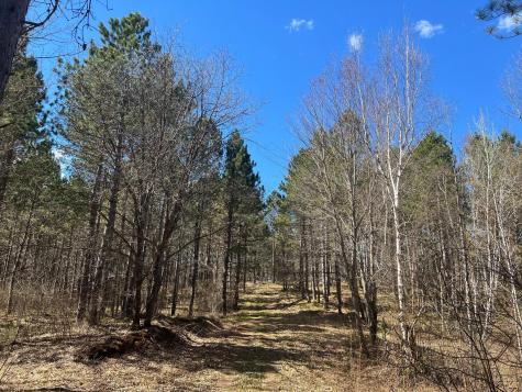 Tbd (164.21AC) Maple Grove Road Cloquet MN 55720