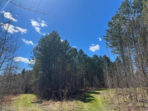 Tbd (164.21AC) Maple Grove Road Cloquet MN 55720