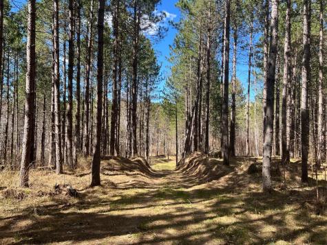 Tbd (164.21AC) Maple Grove Road Cloquet MN 55720