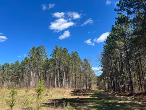 Tbd (164.21AC) Maple Grove Road Cloquet MN 55720
