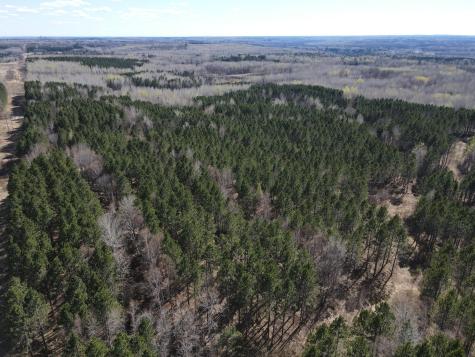 Tbd (164.21AC) Maple Grove Road Cloquet MN 55720