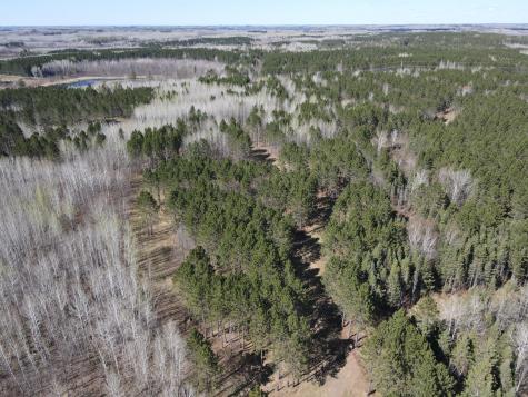 Tbd (164.21AC) Maple Grove Road Cloquet MN 55720