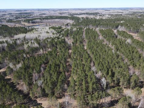 Tbd (164.21AC) Maple Grove Road Cloquet MN 55720