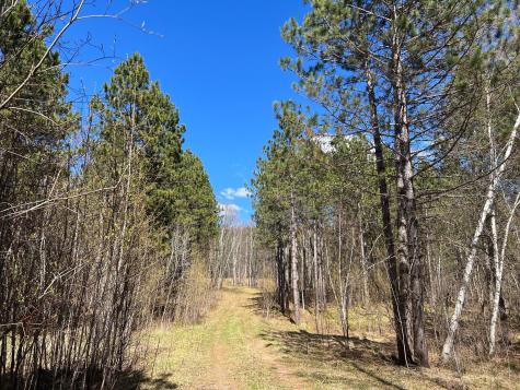 Tbd (164.21AC) Maple Grove Road Cloquet MN 55720