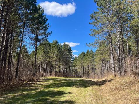 Tbd (164.21AC) Maple Grove Road Cloquet MN 55720