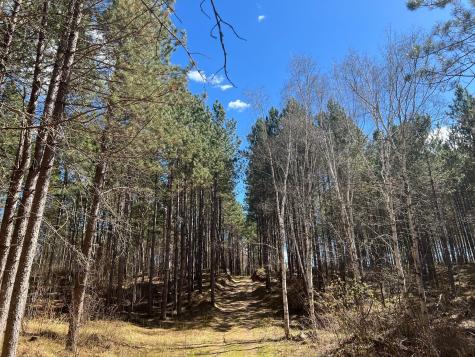 Tbd (164.21AC) Maple Grove Road Cloquet MN 55720